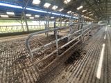 de nombreuses vaches qui se trouvent à l'intérieur d'un bâtiment