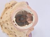 a small vase with a hole in it on a white surface