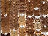 many different types of moths displayed in a display case
