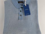 a polo shirt with a blue and white pattern on the collar
