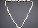 a white pearl necklace with a gold clasp