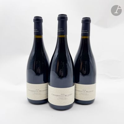 trois bouteilles de vin sont posées sur une surface blanche, devant un fond blanc