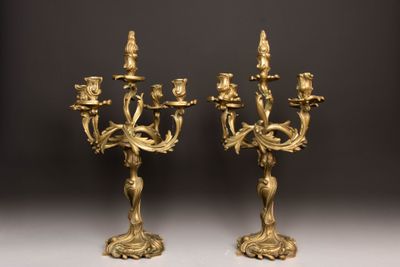 Paire de flambeaux en bronze à cinq feux - Photo 1