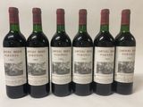 six bouteilles de vin rouge sont alignées sur une surface blanche