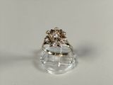 Photo 1/8 du lot