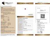 a close up of a brochure with information on it