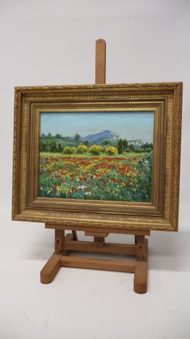 GILI PM. « Coquelicots et genêts en fleurs aux beaux de Provence ...