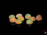 a group of white oplites sitting on top of a black surface