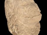 a close up of a stone sculpture of a face on a black background