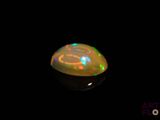 an oplite in the dark with a black background