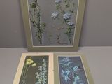 two framed photographs of flowers and plants on a table