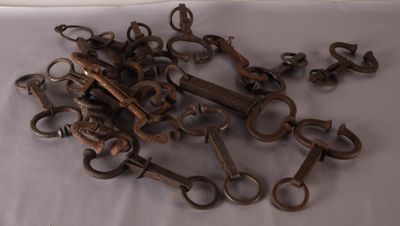 [ AGRICULTURE ] Important ensemble de mouchette En l'état - Photo 1