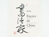 a white book with chinese writing on the cover of it