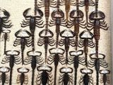 a picture of a picture of a wall with a lot of hair brushes on it