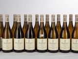 des bouteilles de vin sont alignées sur une table