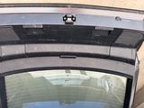 a cat that is sitting in the trunk of a car