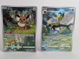 Deux cartes Pokémon sont posées côte à côte sur une surface blanche