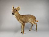 un faux cerf posé sur une surface blanche