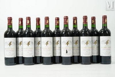 six bouteilles de vin sont alignées sur une surface blanche