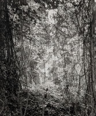 une photo en noir et blanc d'un homme marchant dans les bois
