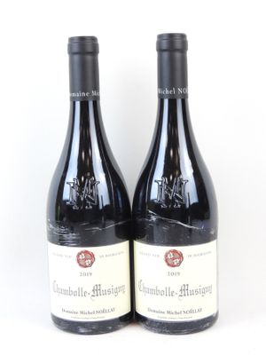 deux bouteilles de vin rouge posées l'une à côté de l'autre sur une surface blanche