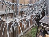 a lot of chairs that are hanging on a fence