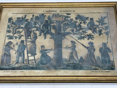 une photo d'un arbre généalogique
