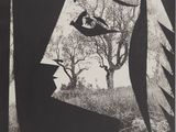 an image of a black and white photo of a face in the woods