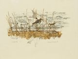 dessin représentant un groupe d'oiseaux posés au milieu d'un champ recouvert d'herbe
