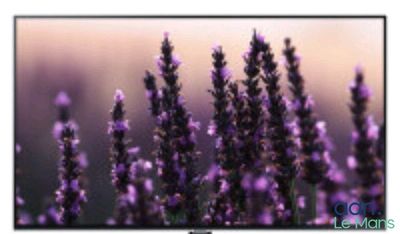 La télévision est posée sur une table ornée de fleurs violettes.