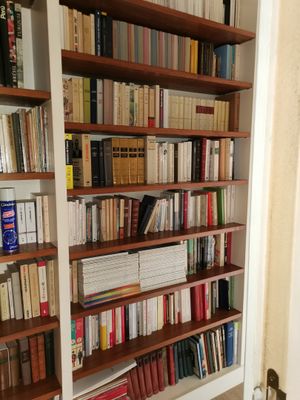 beaucoup de livres sur les étagères de la pièce