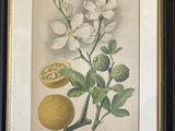 painting of a lemon and a flower on a wooden table