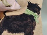 a pillow with a picture of a dog on it and a pillow with a dog on it