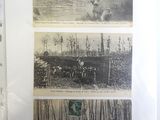 three old photos of people riding horses in the woods