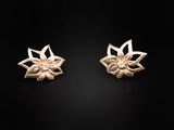 a pair of gold flower earrings on a black background