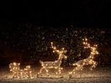 un traîneau de rennes illuminé et un traîneau avec des lumières dans l'obscurité