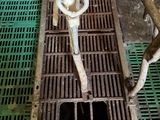 a picture of a grate that has a toilet in it