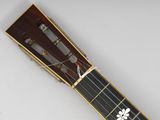 an image of a guitar with a white flower on the fret