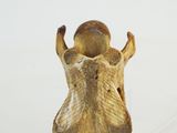 a small figurine of a human head on a clear stand