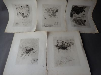 quatre pages de dessins d'animaux et d'oiseaux posés sur une table