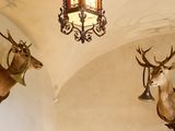 two deer heads mounted on the wall of this room
