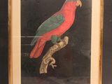tableau représentant un perroquet rouge et vert perché sur une branche