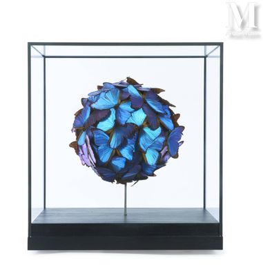 a glass display case with a blue flower inside of it