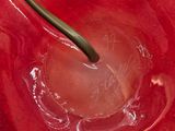 a red bowl with a spoon in it on a table