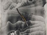 une photo en noir et blanc d'un oiseau survolant une montagne