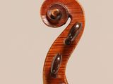 a close up of the back of a violin