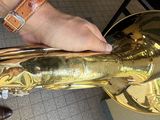 a person that is holding a saxophone in their hand