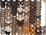 many different types of butterflies displayed in a white frame