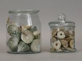 two glass jars with shells inside of them on a table