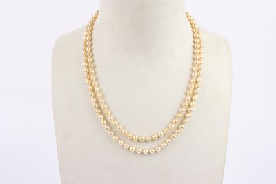 des colliers de perles à deux rangs sur un mannequin, un mannequin, un mannequin, un mannequin, un mannequin, un mannequin, un mannequin, un mannequin, un mannequin, un mannequin, un mannequin, un mannequin, un mannequin, un mannequin, un mannequin, un mannequin, un mannequin, un mannequin, un mannequin, un mannequin, un mannequin, un mannequin, un mannequin, un mannequin, un mannequin, un mannequin, un mannequin, un mannequin, un mannequin, un mannequin, un mannequin, un mannequin, un